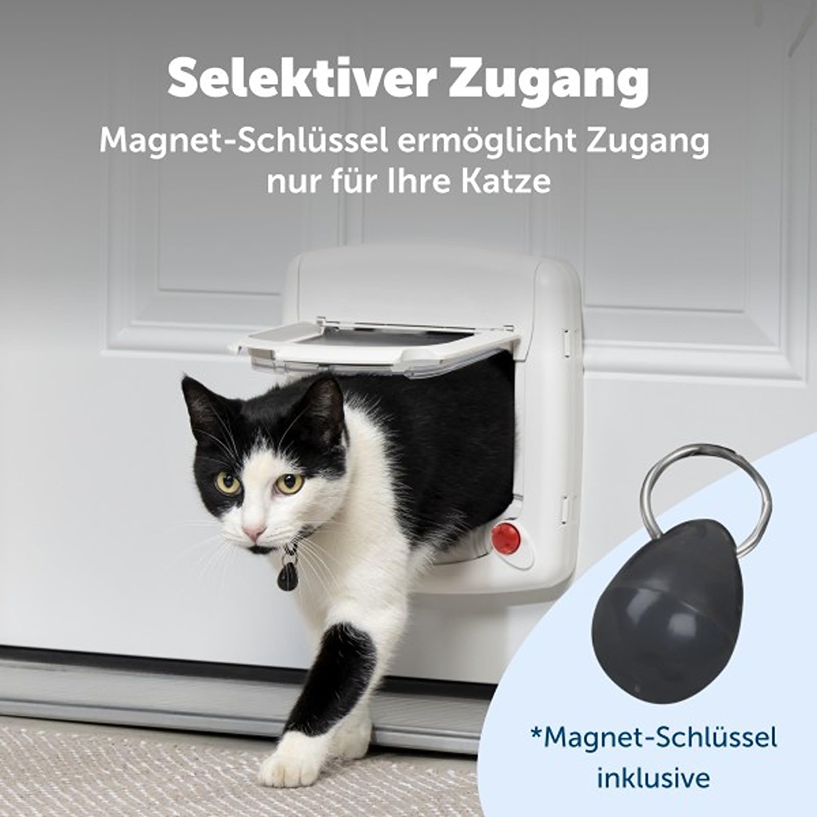 PetSafe Staywell Magnetische Katzenklappe Deluxe, Magnet-Schlüssel gibt nur Ihrer Katze Zugang - hält fremde Tiere draußen, mit 4 Verschlussoptionen, für Katzen bis zu 7 kg, Weiß