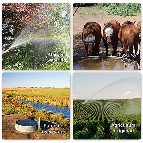 Eco-Worthy L07P100N-PC-2 3.2Gpm Solar Well Pump Kit For Watering- 1Pc Submersible 12V Solar Water Pump + 2Pcs 100W Mono Solar Panel + 20A Charge Controller thumb #8