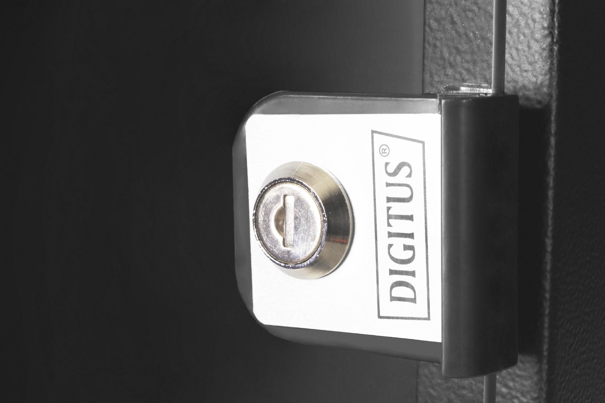 Digitus Contenitore Soho Pro A Parete - 254 Mm [10] - 315x300 Mm [lxp] (9he Soho Pro Wallmount Cab Blk - 10insoho Pro 460x315x300mm Black)