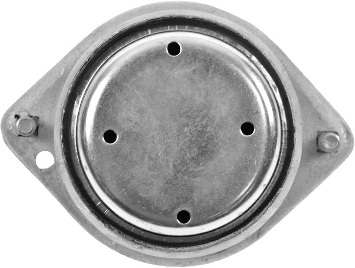 Left and Right Engine Mount Set Drivers Side Compatible with 1997-2003 BMW 540i 1995-2001 740i 740iL 1999-2001 750iL