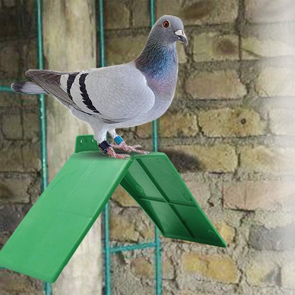 10 Piezas de Soporte de Descanso para Palomas, Soporte de pie para Palomas mensajeras para pájaros, Suministros para Palomas, Soporte de Descanso de plástico para Palomas, Ideal para Palomas