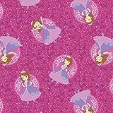 Disney Sofia The First Poses in Fuchsia Fabric by The Yard