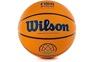 Wilson NCAA Evo Nxt Game Basketball