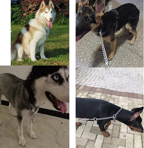 Miniatura 3 de Collar de acero inoxidable con cadena en P para entrenamiento de perros (0.079 in x 16 pulgadas)