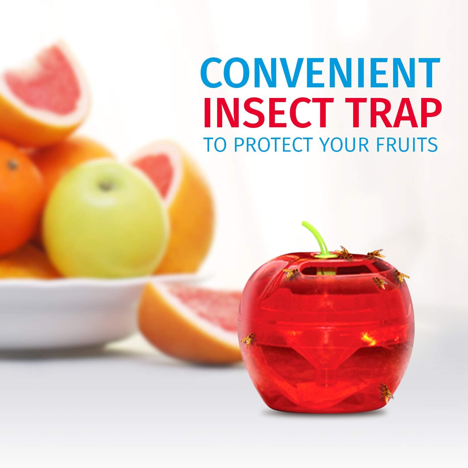 Fruit Fly Traps for Indoors by Raid | 2 Lures + 2 Refills | Effective Fruit Fly Trap for Indoor Use | Fruit Fly Killer & Gnat Traps for House Indoor | Easy to Use & Safe Food-Based Lure Fly Catcher