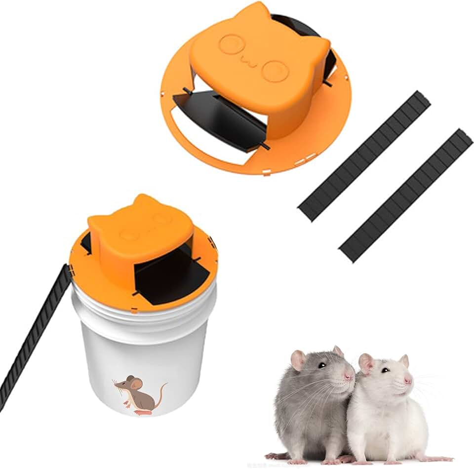 Amazon.ca mouse trap