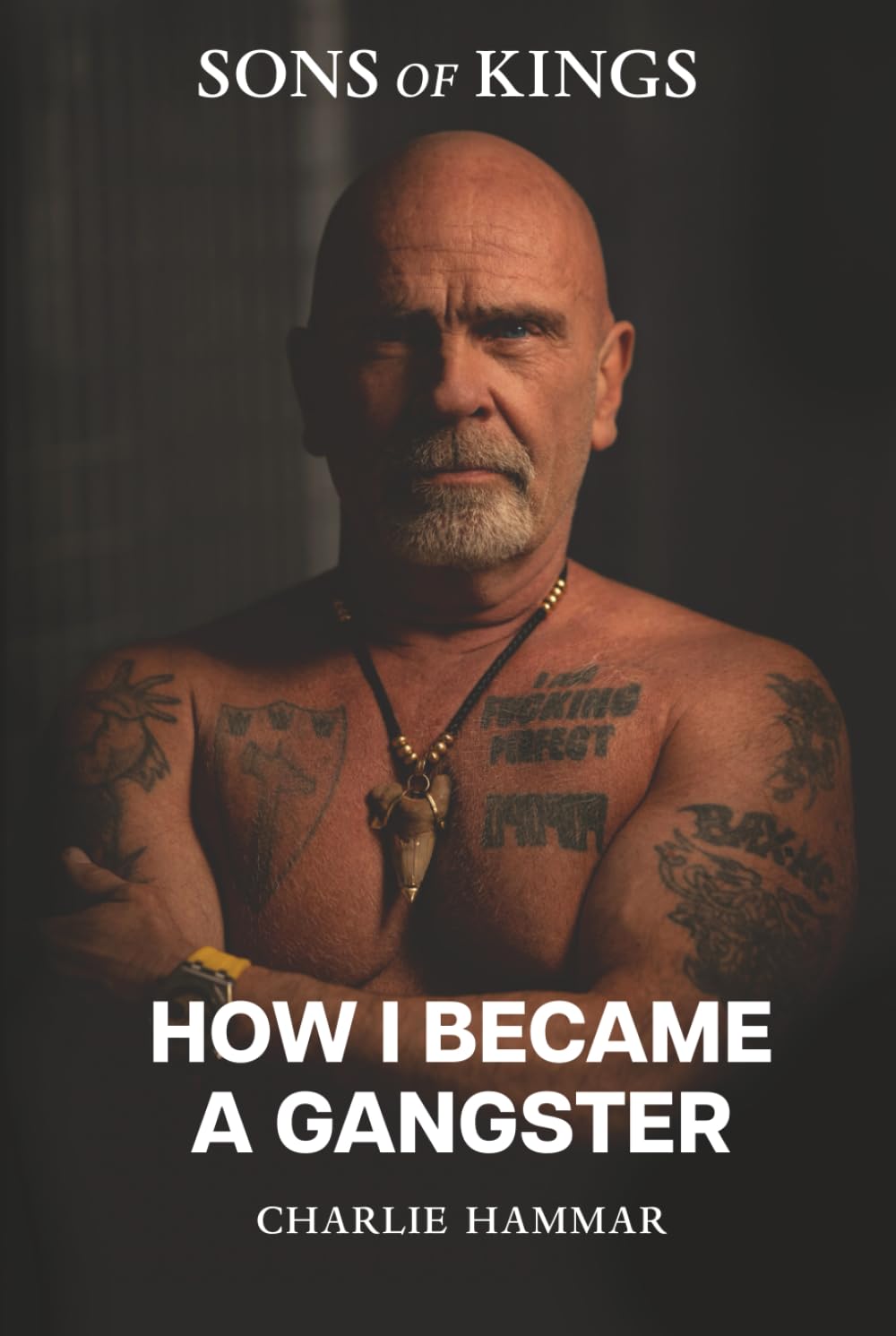 How I became a Gangster: A True Crime Memoir from Europe’s Criminal Underworld (Sons of Kings: The Gangster Series)