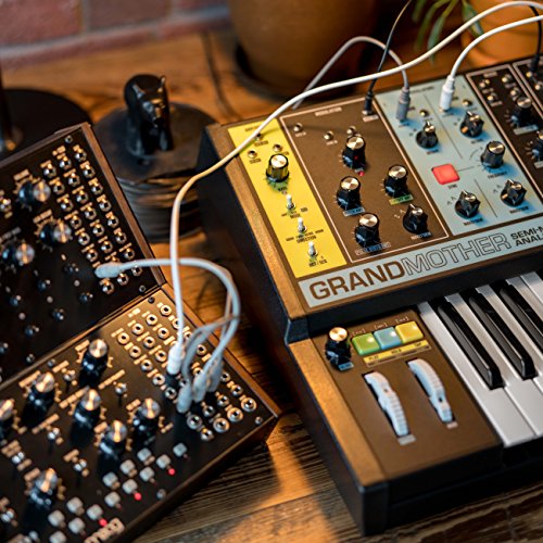 MOOG Grandmother Synthesizer - Image 5