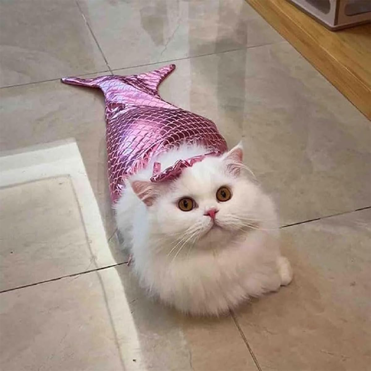 Costume da sirena per gatti, coda di sirena per cani, costume creativo per animali domestici, per