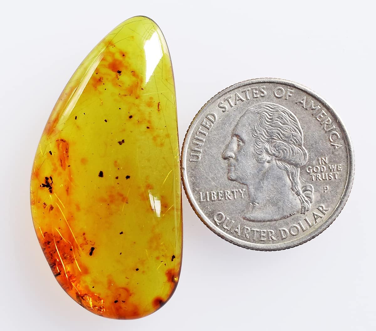 Natural Yellow Baltic Amber Cabochon Size 42x21x8 MM Transparent Jewellery Making Fossilized Tree Resin Baltic Sea Amber Crystal Specimens