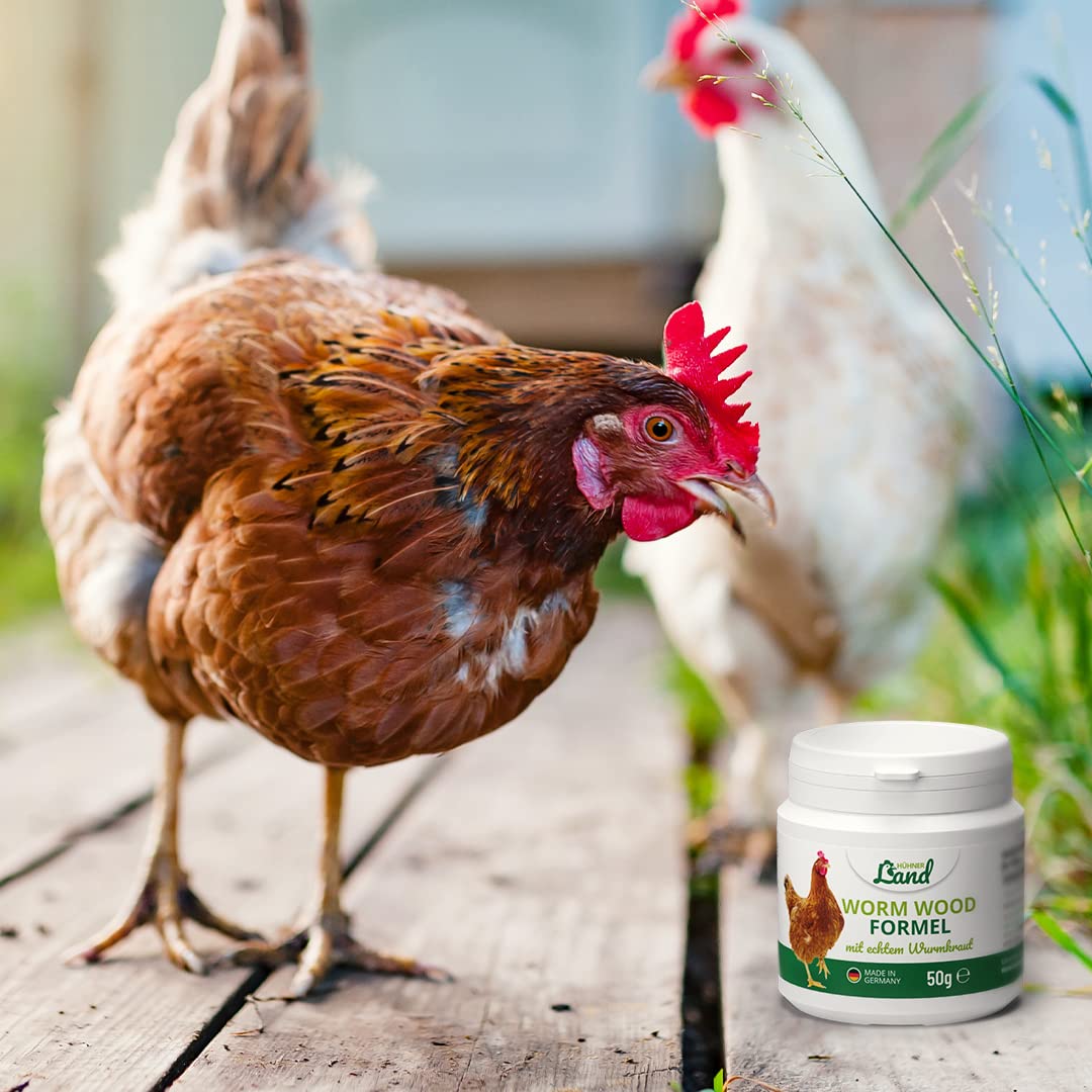 HÜHNER Land Wormwood Formel 50g Pulver – für Hühner & Geflügel, mit echtem Wurmkraut (Artemisia Absinthium) in rezepturbasierter Pflanzenformel, geeignet für Hühner