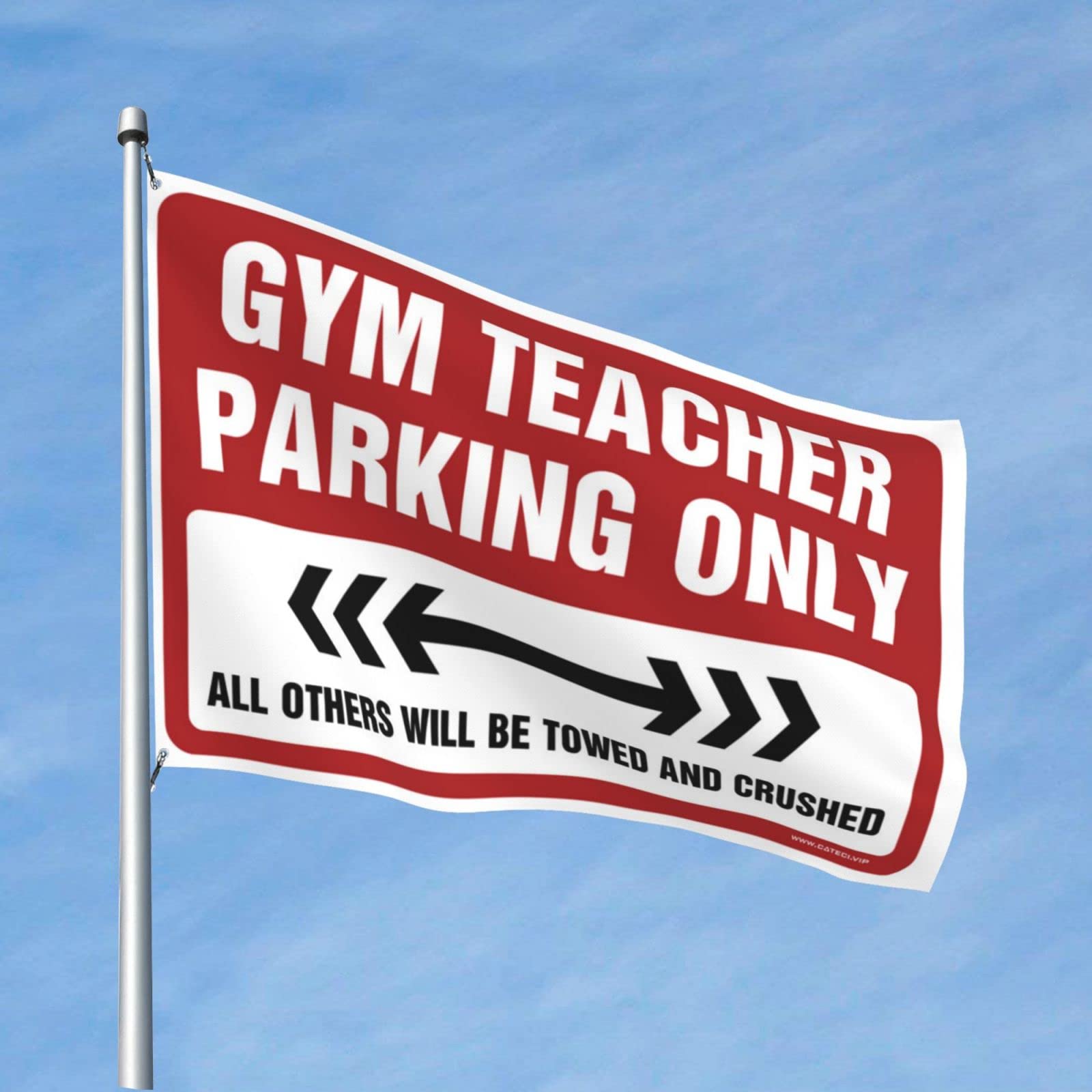 Drapeau Gym Teacher Parking Only 152x244 cm pour accessoires piscine extérieur et terrasse - 6