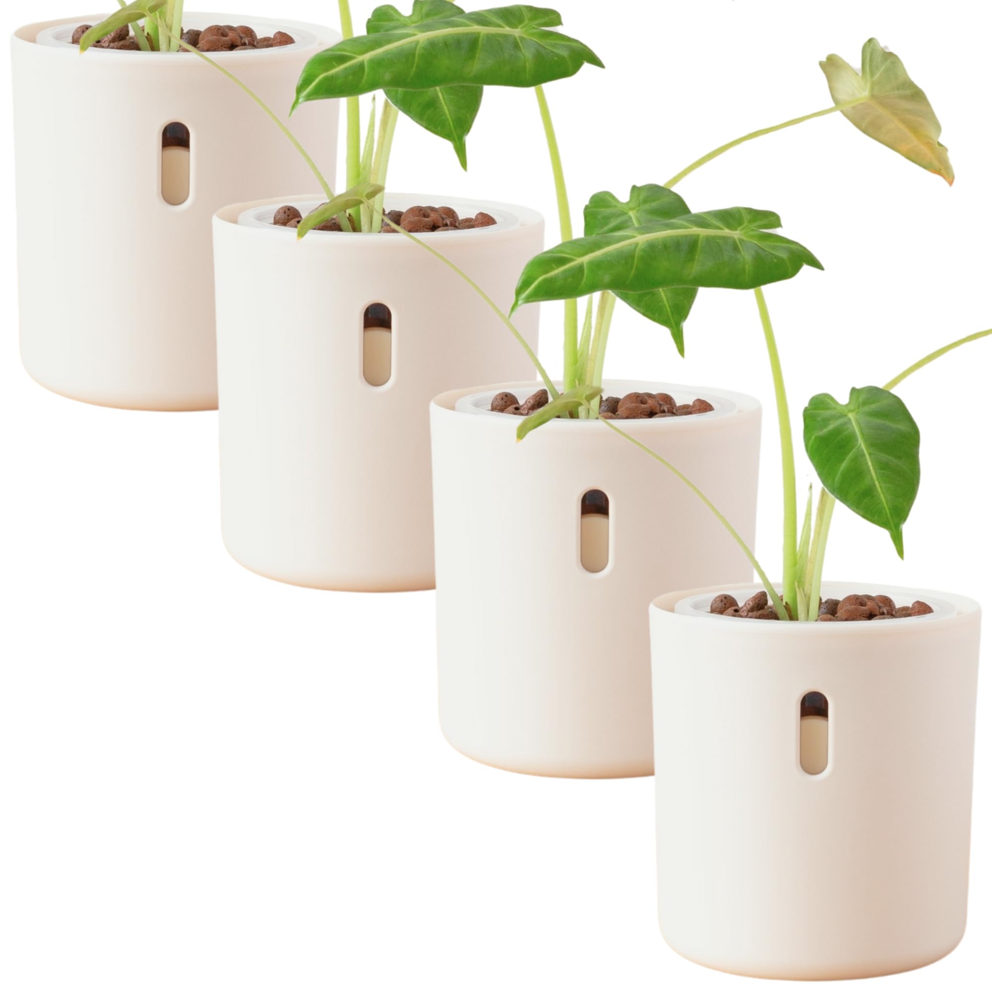 Amazon.com: Self Watering Pot for Leca and Pon, Semi Hydroponic Planter for Indoor  Plants, Clear Inner Pot & Water Level Indicator (Cream (4-Pack), 4 inch) :  Patio, Lawn & Garden