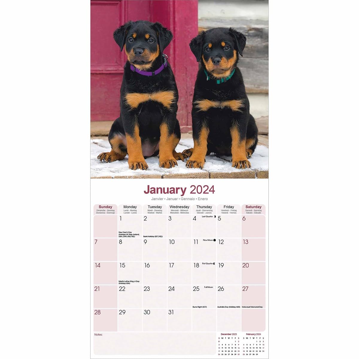 Rottweiler Puppies Calendar 2024 - Image 3