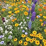 Ferry-Morse Pacific Northwest Mix Bulk Wildflower Seeds, 1lb Bulk Wildflower