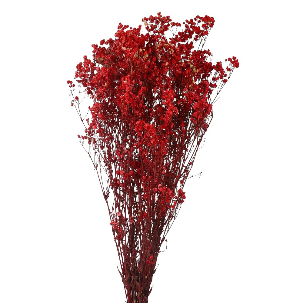 YATAI Dried-Flowers-Babys-Breath, Durable, Non-Fading Artificial Flowers, Natural Red Gypsophila Branches for Home Decor, Office Decor, Wedding, Fake Flowers for Table Vase Decor, Dry Flowers for Vase