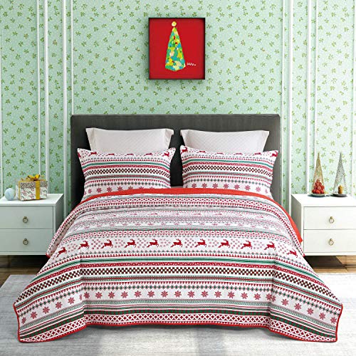 ENCOFT Juego de Colcha Reversible 3 Piezas Colcha Bouti 230x250cm con 2 Fundas 50x70cm Almohada Algodón Estilo Campo con Flores Rojo Colcha Patchwork para Cama Doble(230_x_250_cm, Verde 1)