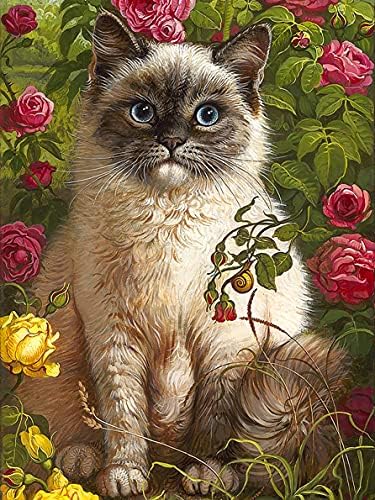 Leejoy 5D Diamond Art Peacock, DIY Diamond Painting Kits for Adults Animal, Full Drill Crystal Rhinestone Embroidery Pictures Arts Crafts Canvas Cross Stitch for Home Decor 35x35cm