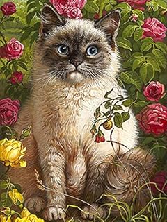 Leejoy 5D Diamond Art Peacock, DIY Diamond Painting Kits for Adults Animal, Full Drill Crystal Rhinestone Embroidery Pictures Arts Crafts Canvas Cross Stitch for Home Decor 35x35cm