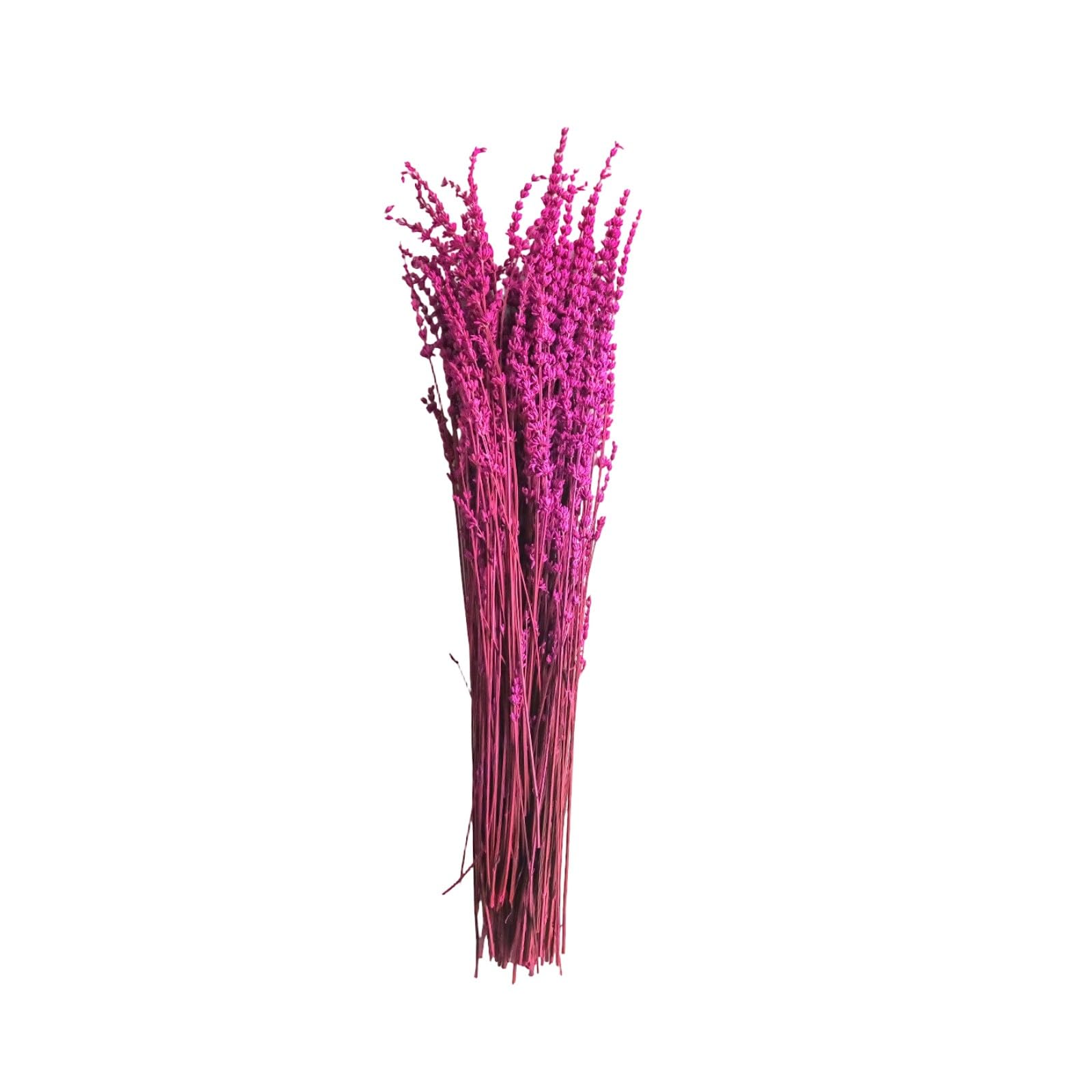 Zxfdsfdbnm Real Lavender Bouquet Preserved Floral Bundle 19.69in, Natural Decorative Accent for Bedroom and Lavender Bouquet Vase Filler Wedding Centerpiece Preserved Flower Arrangement