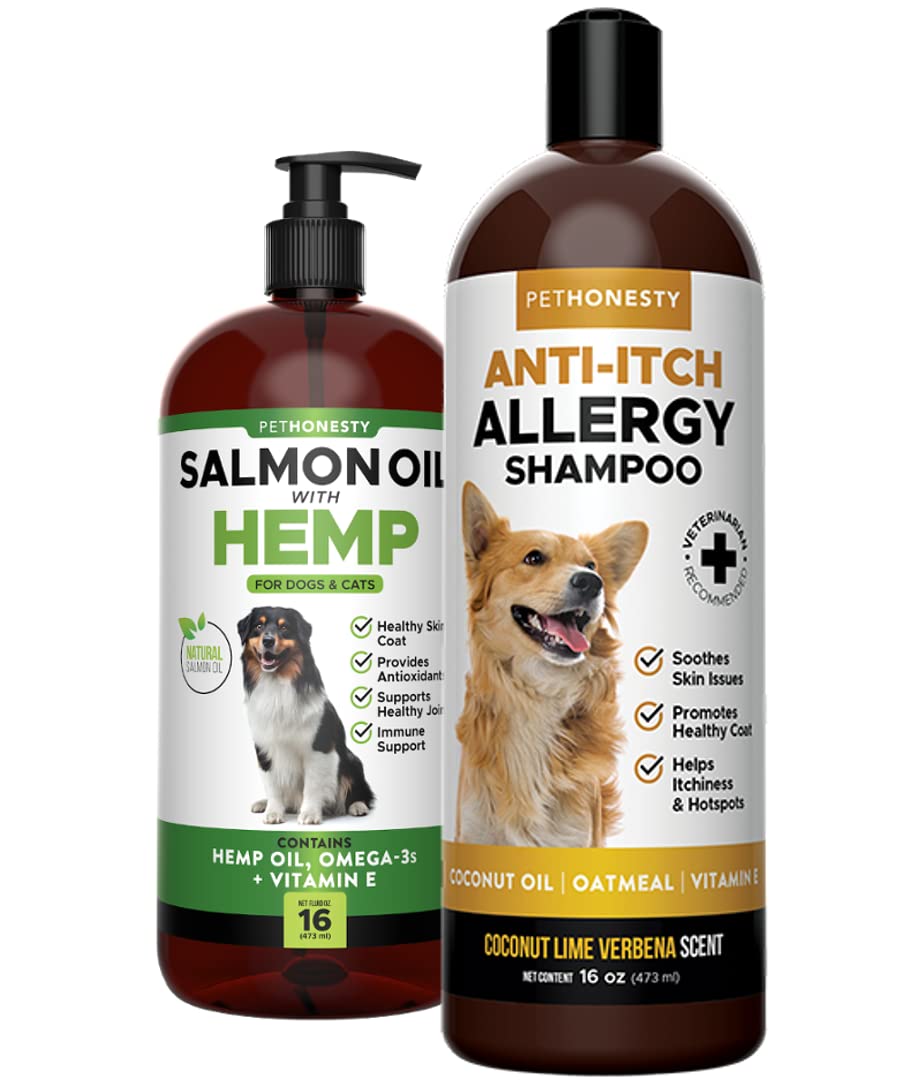 Does Coconut Oil Stop Dogs From Shedding