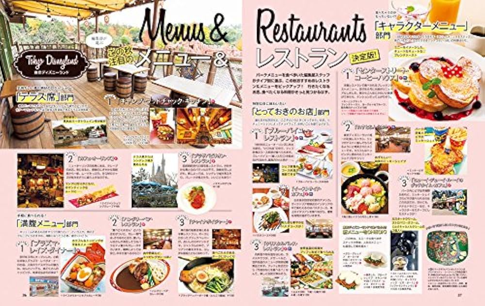 ディズニーファン 2017年分 11冊 ディズニーファン 2017年分 11冊 ディズニーファン 2017年 11 月