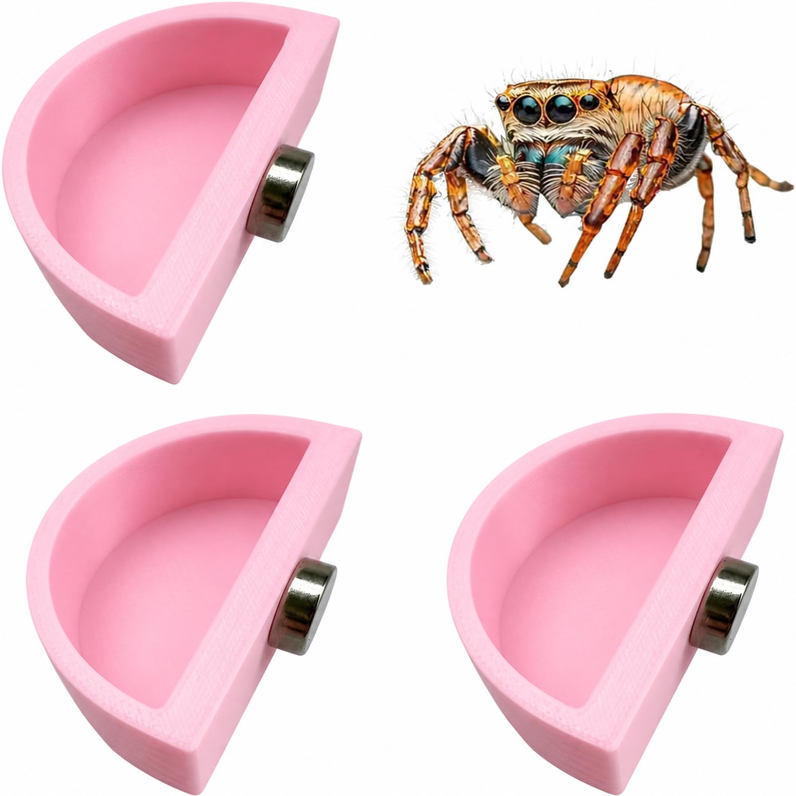 3 PCS Jumping Spider Feeding Dish, Tiny Food Dishes Water Dish for Jumping Spider, Tarantula and Other Small Pets, Half Round