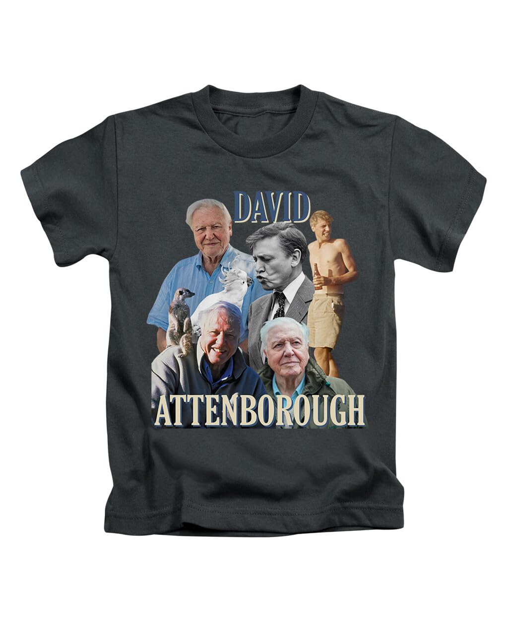 New Spirit Original Unisex Black David Attenborough Tee T-Shirt Funny T Shirt Top