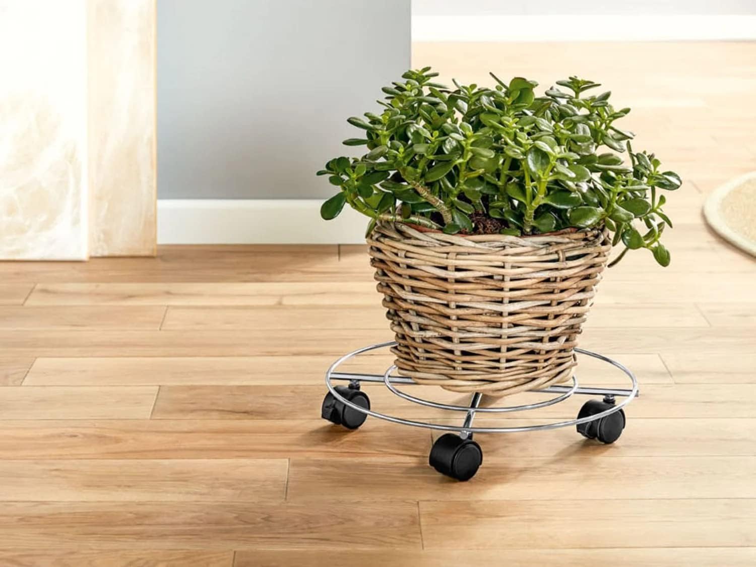 Livarno Home Plant Trolley in use with a potted plant