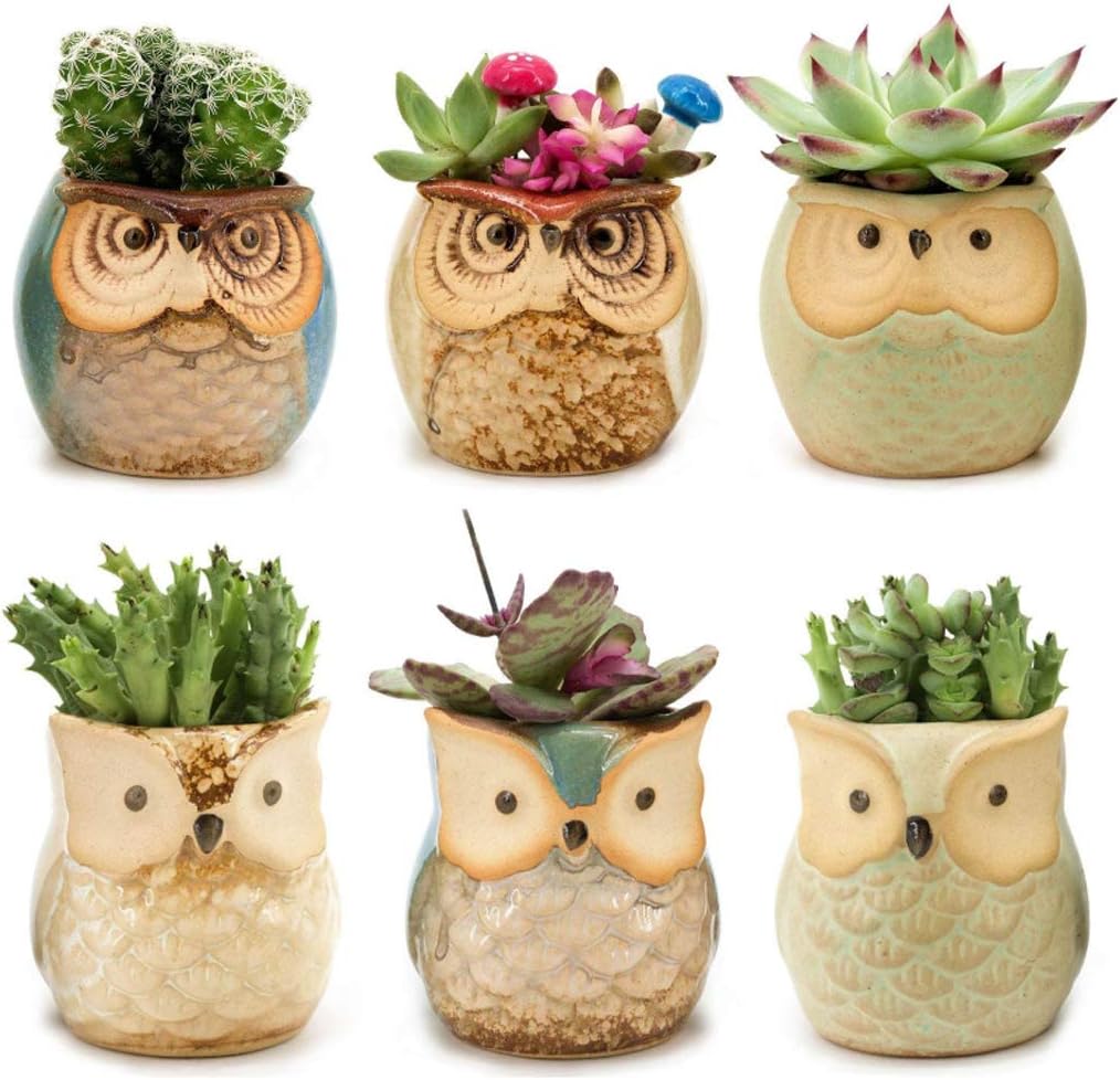 6pcs Owl Pot 2.5 Inch Ceramic Flowing Glaze Base Serial Set Succulent Plant Cactus Flower Pot Container Planter Small Bonsai Mini Pots With A Hole Gife Idea