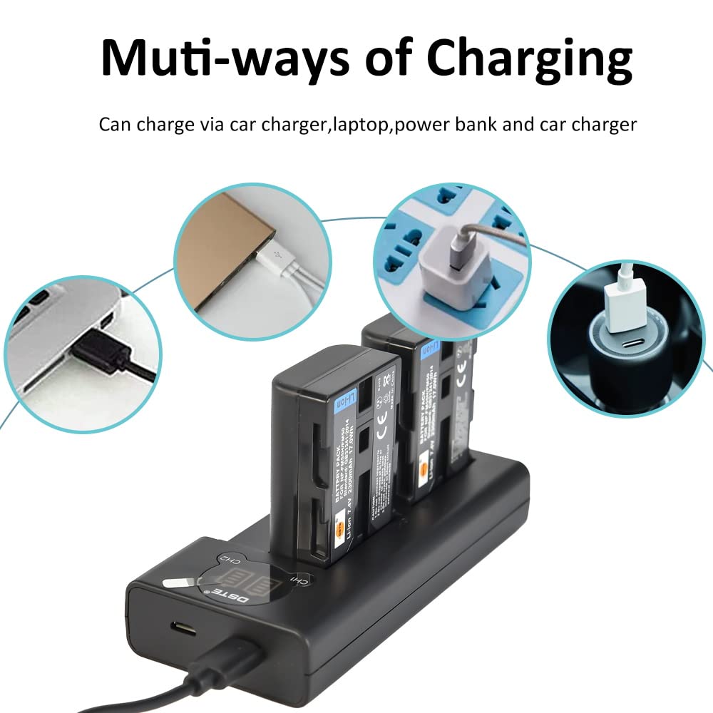 DSTE NP-FM50 Batterie Rechargeable (Paquet de 2) et Chargeur Double USB Smart LED Compatible avec Sony CCD-TRV108, CCD-TRV116, CCD-TRV118, CCD-TRV126, CCD-TRV128, CCD-CCD-TRV138, CCD-TRV208