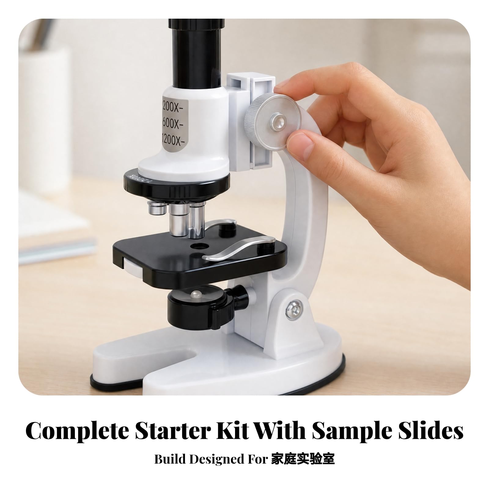 Microscopio con Illuminazione Elettrica Integrata Compatto Microscopio con Ingrandimenti Multipli Portatile per Osservazioni Biologiche
