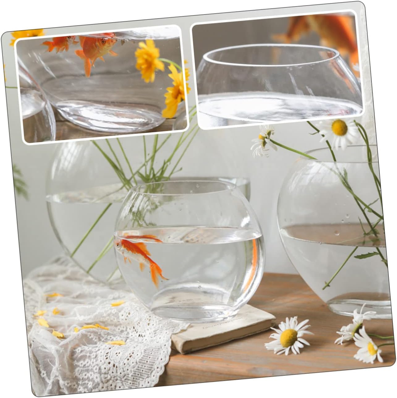 Toyvian Multi-Function Transparent Tank Elegant Desktop Aquarium for Home Office for Betta Fish and Aquatic Plants and Space-Saving Design