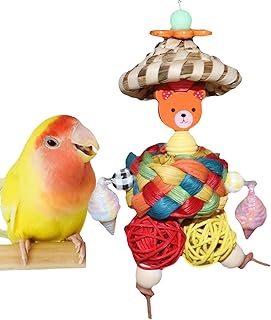 Bird Cage Toys - Natural Bird Supplies Parrot Foraging Toys,Colorful Interactive Nesting Ball For Kids, Family, Friends, Home