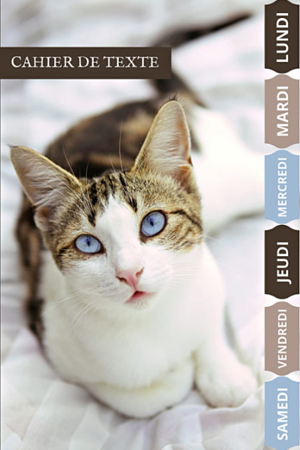 Cahier de texte chat (French Edition)