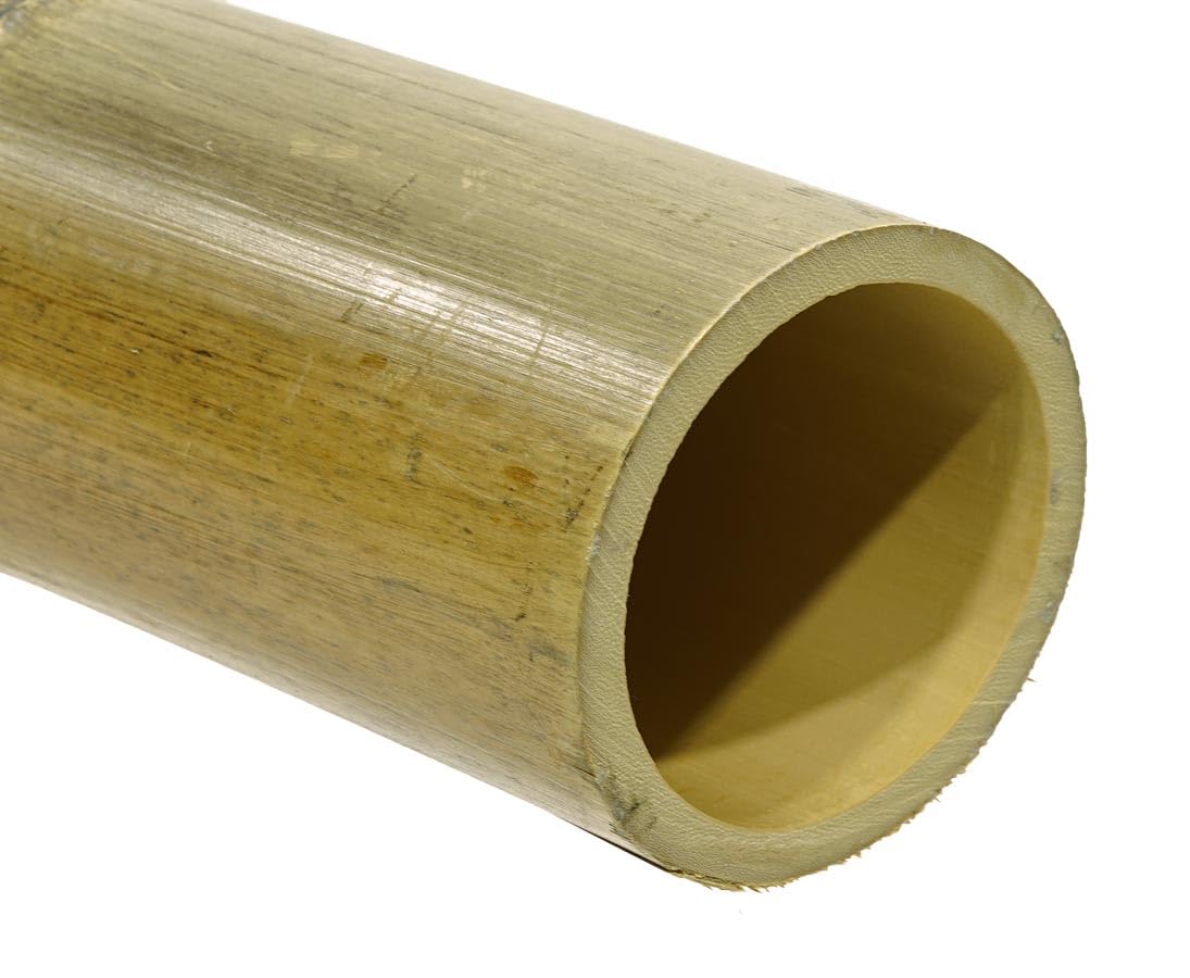 Bambusrohr XL hitzebehandelt 200cm 14-16cm Durchmesser
