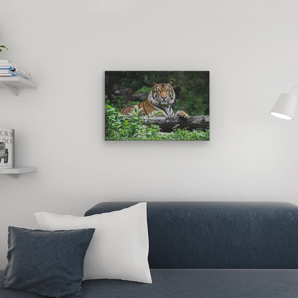 Artaza Cuadros Decoración Salón Modernos Tigre - 60x40 cm - Cuadros Animales - Decoración Pared - Lienzos - Selva