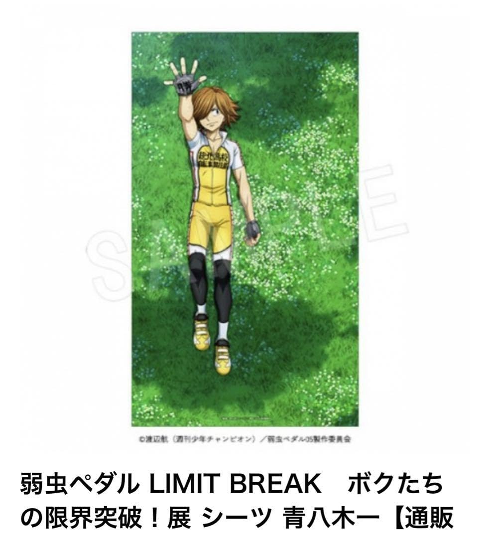 弱虫ペダル 限界突破展 青八木一 シーツ Amazon.co.jp: 青八木一 シーツ ボクたちの限界突破展 弱虫