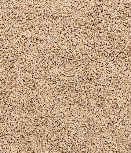 Dehner Natura Premium Nourriture pour Oiseaux Sauvages, graines de Tournesol décortiquées, en Seau, 5 kg – Image 5