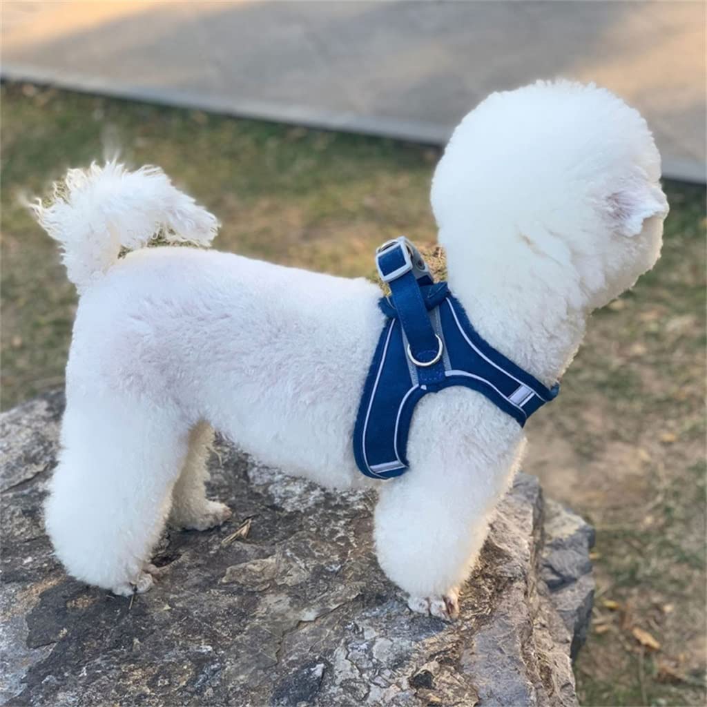 Pet Dog Chest Harness and Leash Set Breathable Adjustable Dog Harness Suitable for Small and Medium-Sized Puppies Vest (B L)