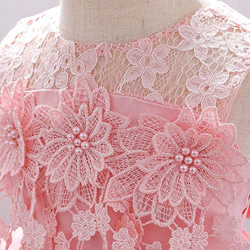 Baby Girls Tutu Dress Birthday Party Wedding Christmas Family Picture Dress Lace Princess Dress Flower Pink 6-12 Months #TOP3