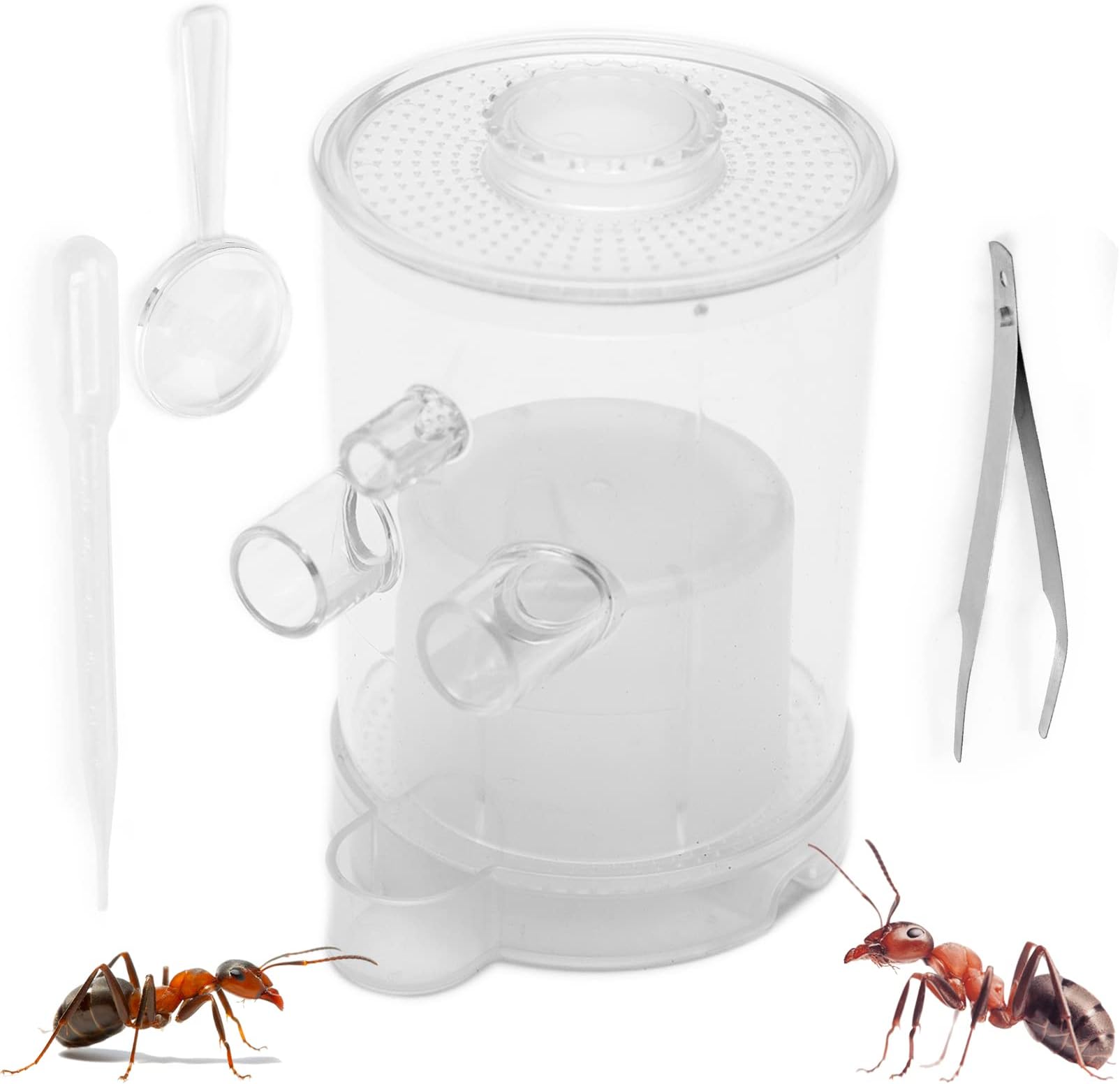 AntsCanada Ant Farming Kit - Professional Small Deluxe Ant Tower with Magnifying Glass, Pipette, & Tweezers | Small Ant Farm for Kids or Adults