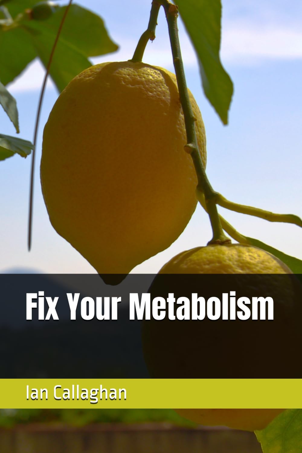 Fix Your Metabolism      Paperback – February 25, 2026