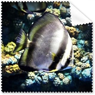 Ocean Fish Science Nature Picture Cleaning Cloth Phone Screen Glasses Cleaner 5pcs