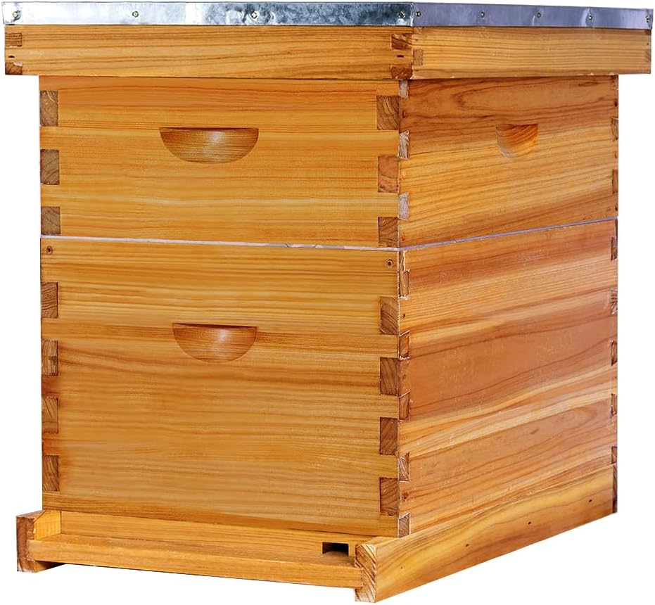 Beehive - 8 Frame Starter Kit, Beeswax Coated for Bee Keeper, Langstroth Hive With 1 Deep and 1 Medium Box, Frames and Foundation (Unassembled)