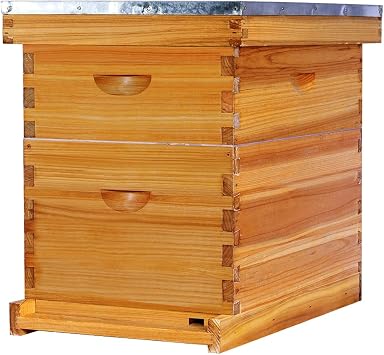 POLLIBEE 8 Frame Beehive Beeswax Coated Langstroth Bee Hives Include 1 Deep Boxes and 1 Medium Bee Box with Beehive Frames and FoundationsUnassembled