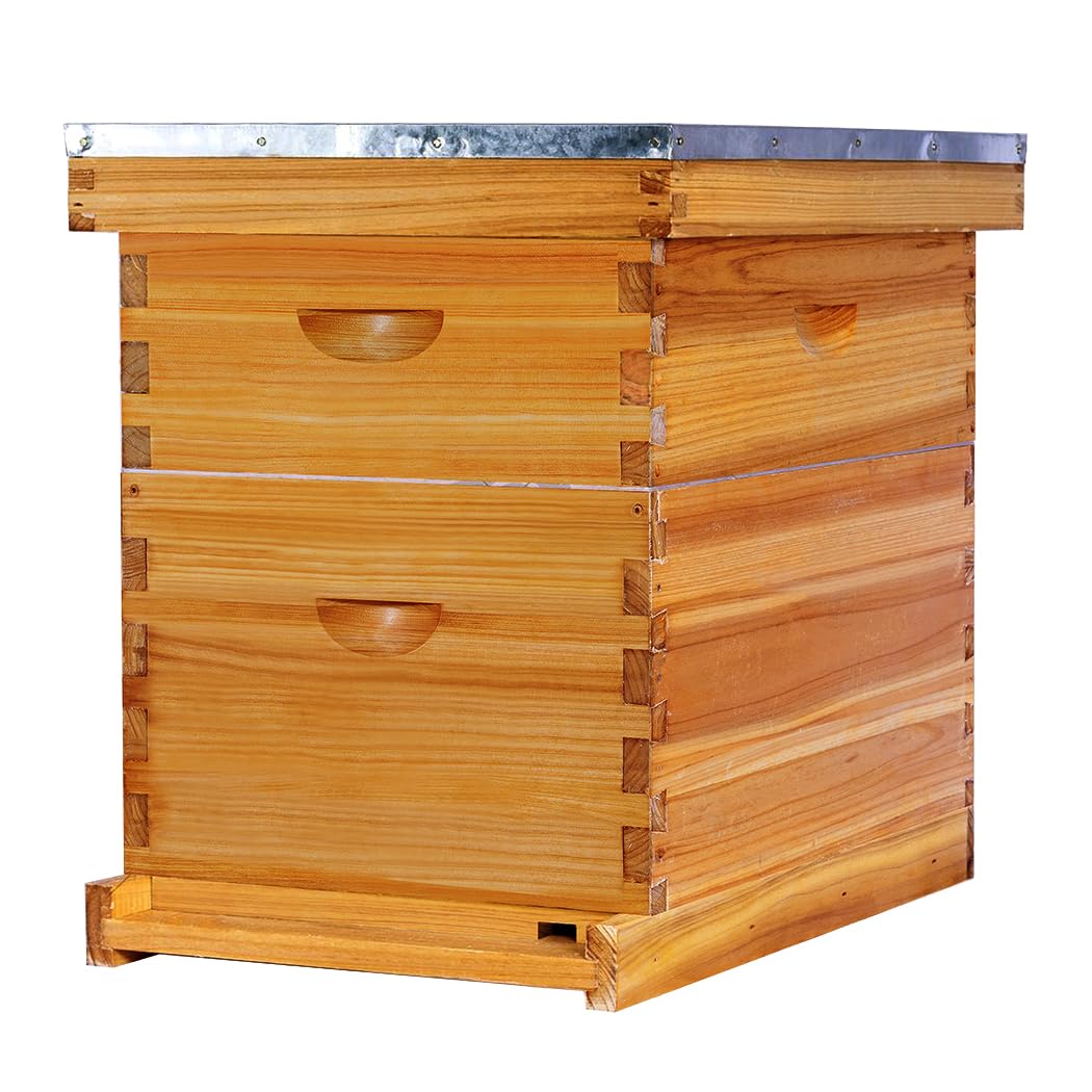 9 Best Langstroth Beehive | Build a Hive That Survives the Winter