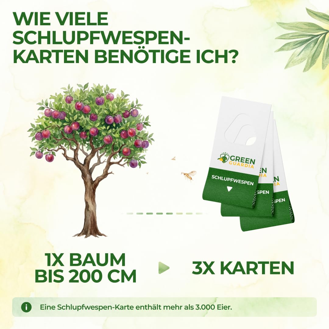 GREEN GUARDIA Schlupfwespen gegen Pflaumenwickler - 3 Karten à 3 Lieferungen - Effektive Bio-Bekämpfung gegen Pflaumenwickler, Alternative zuWicklerfalle, Spritzmitteln, Nematoden & Pheromonfallen