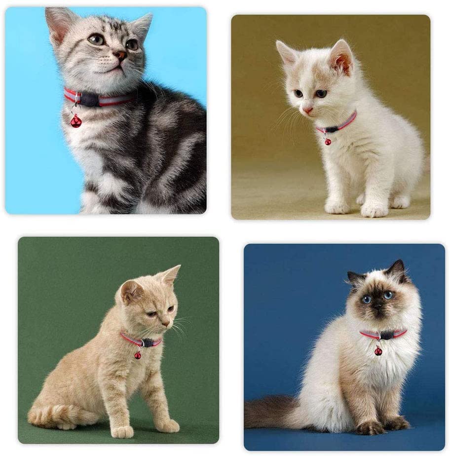 Image of 10 MM Adjustable I Pet Nylon Reflective Collar I with Bells for Puppies and Cat I (Color May Vary) - Pack of 1 (Reflective Collar)