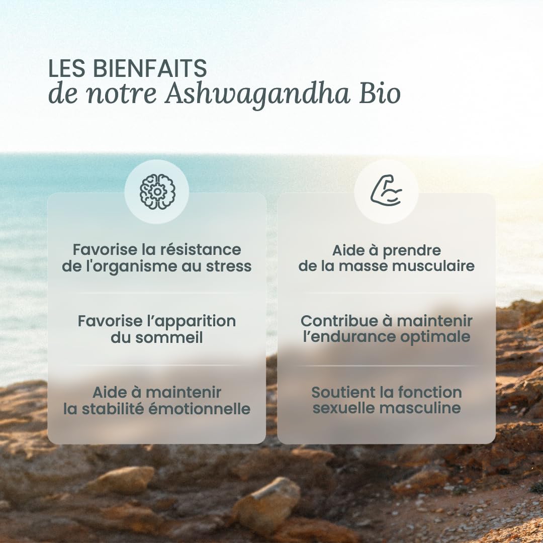 NUTRI & CO Ashwagandha BIO KSM-66® Breveté - Extra Fort 1200mg 5% Withanolides - 120 gélules Vegan - Extrait 100% Pur - Fabriqué en France